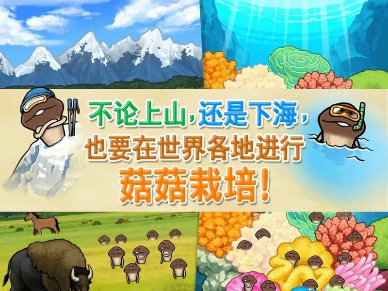 菇菇栽培研究室(菇菇栽培游戏) 菇菇栽培研究室(菇菇栽培游戏)