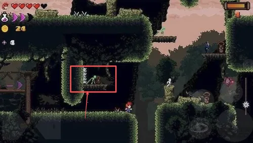 ����������2025���°汾