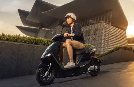 �ŵ�����2025�ٷ�����