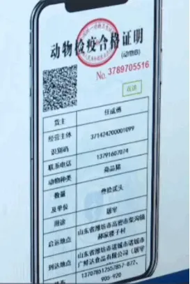 鲁牧云2025官方最新版本 鲁牧云2025官方最新版本