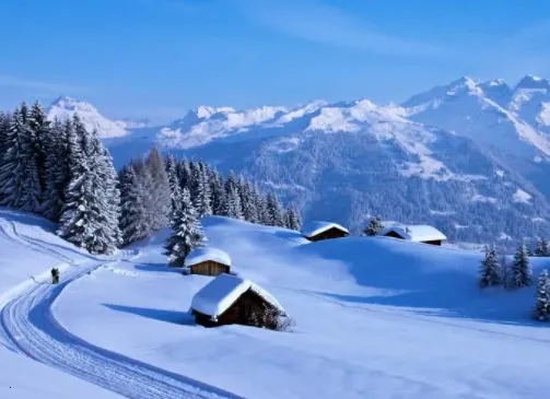 壁纸屋最新手机版 壁纸屋最新手机版