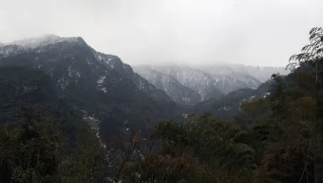 大美筠连2025官方最新版本 大美筠连2025官方最新版本