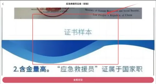熊学课堂2025官方正版 熊学课堂2025官方正版