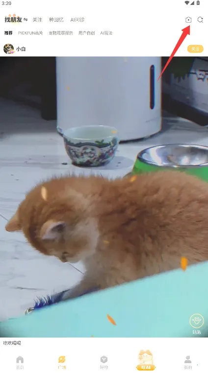 Ƥ�˷�(�������Ƶ����)