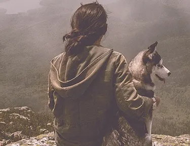 ����2025�ٷ����°汾