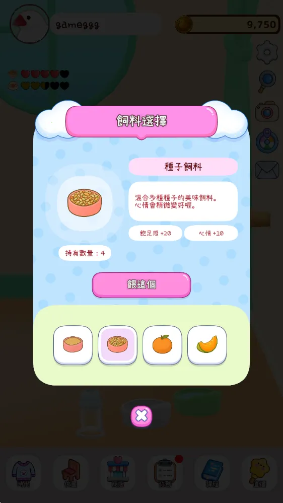 文鸟物语安卓版手机版 文鸟物语安卓版手机版