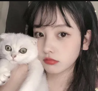 ����Լ��2025���ذ�װ