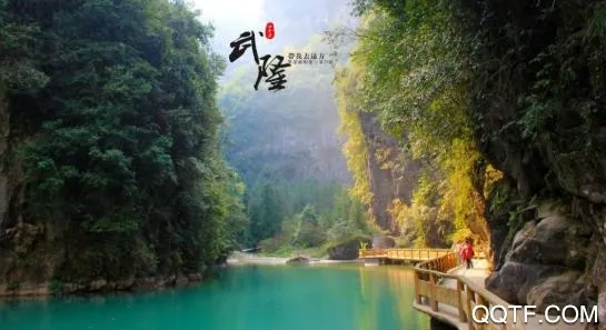 ��¡ӡ��׿���ֻ���