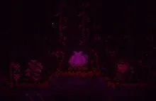 泰拉瑞亚存档2026最新版本 泰拉瑞亚存档2026最新版本