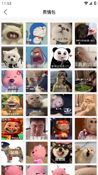 ��������Ȧ2026���°汾