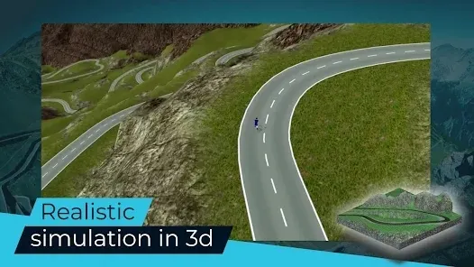 ��ʵ���г��Ӿ���2026�ٷ�����