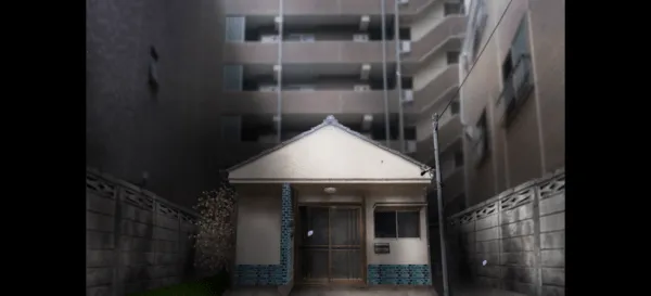 ���չ���֮��