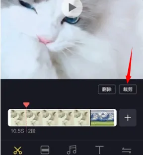 ��Ƶ�����������ֻ���