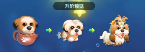 ��������2026���°汾