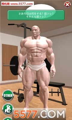 Macho Go Go Go Macho Go Go Go