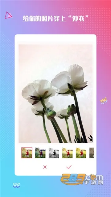 ħ�������