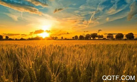 初上相机安卓版手机版 初上相机安卓版手机版