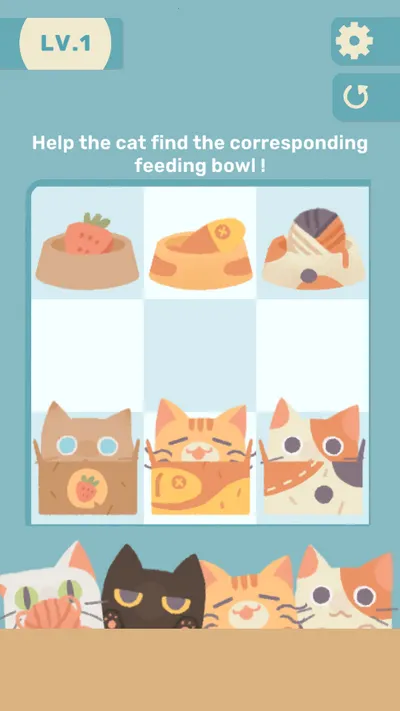 管道猫咪 管道猫咪