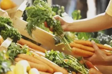 ��������2026�ٷ�����