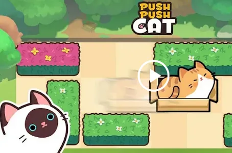 推推猫2026最新版本 推推猫2026最新版本