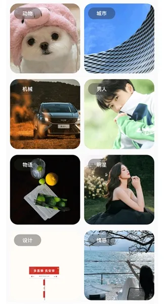 �ʺ�èpro�����2026���°汾