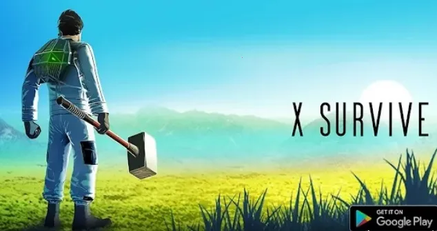 X���������뽨��