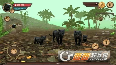 黑豹模拟器2026官方最新版本 黑豹模拟器2026官方最新版本