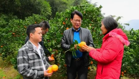 ���Գ������