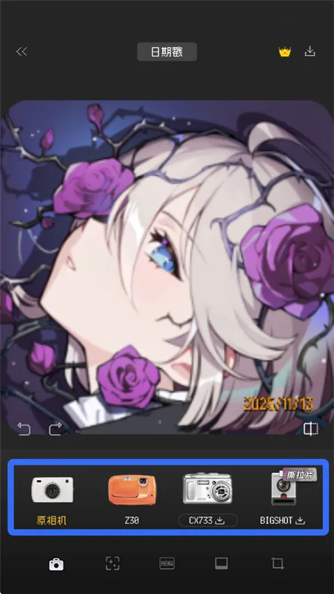 ProCCD����CCD��Ƭ���2026���ذ�װ