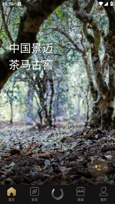 �����Ž�