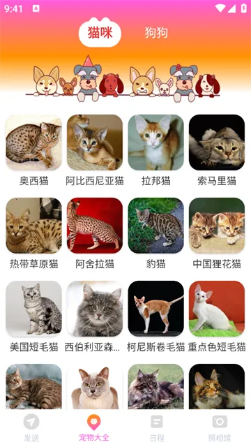 ���ܻ�������2026�ٷ����°汾