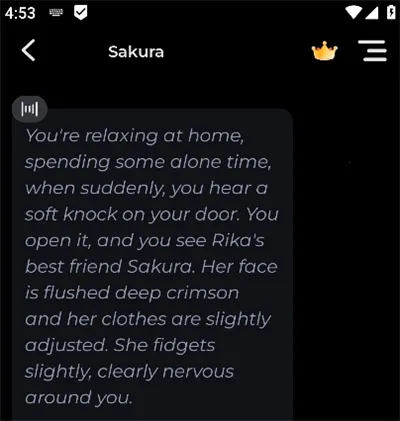 RoleMaster AI聊天2026官方最新版本 RoleMaster AI聊天2026官方最新版本