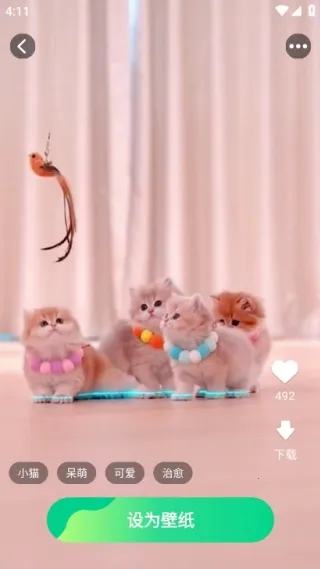 �����ֽ����app