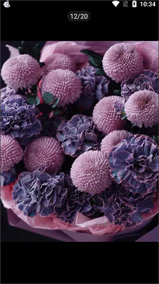 云选鲜花2026下载安装 云选鲜花2026下载安装