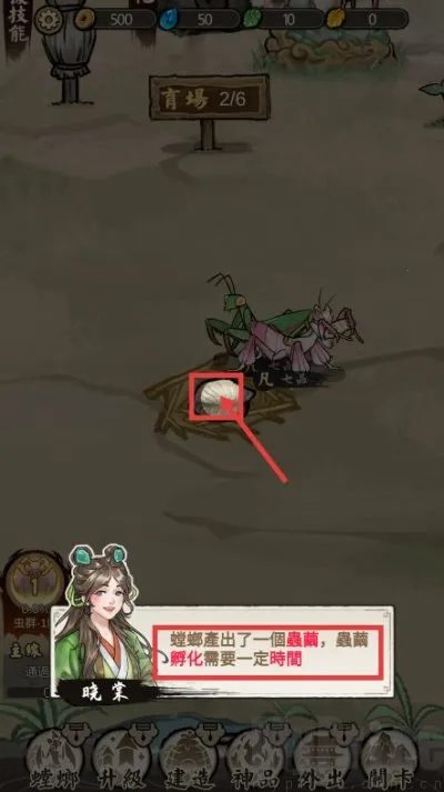 极品螳螂 极品螳螂