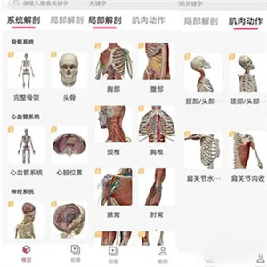 3Dbody艺用2026官方最新版本 3Dbody艺用2026官方最新版本