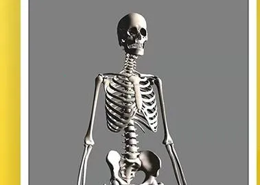 3Dbody艺用2026官方最新版本 3Dbody艺用2026官方最新版本