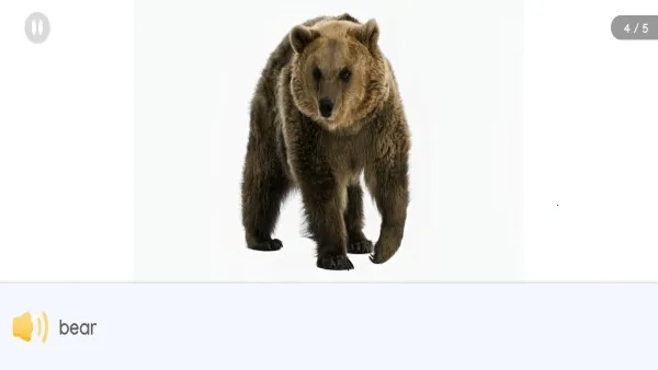 �Ķ���ð��