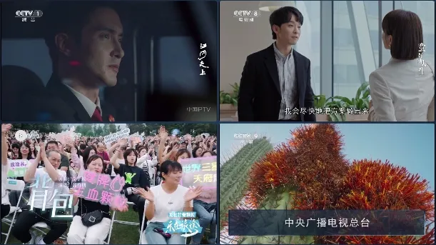 小飞电视最新版本下载 小飞电视最新版本下载