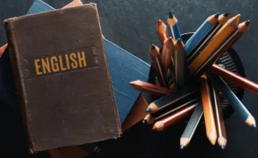 ��ְ�Ӣ�������ֻ���