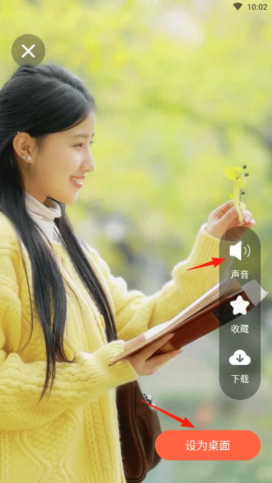 ����ʱ������