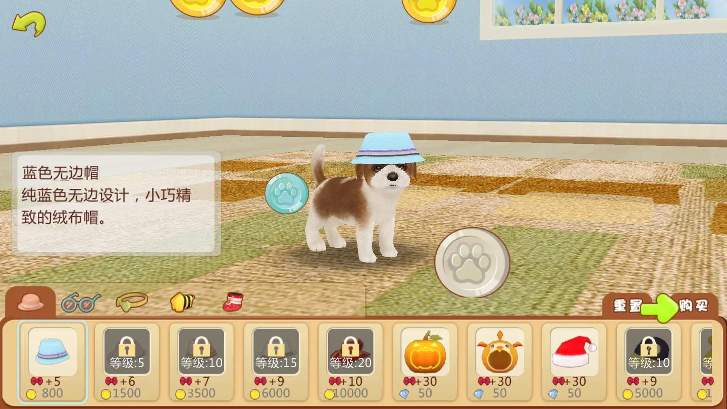 �Ķ�С��2026�ٷ�����