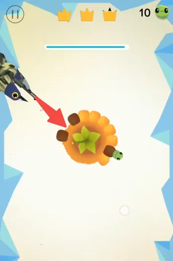 pigeon���ĸ���