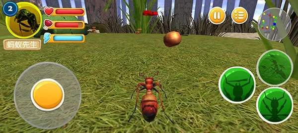 ���ϲ���2026�ٷ����°汾