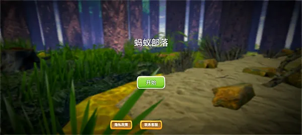 ���ϲ���2026�ٷ����°汾