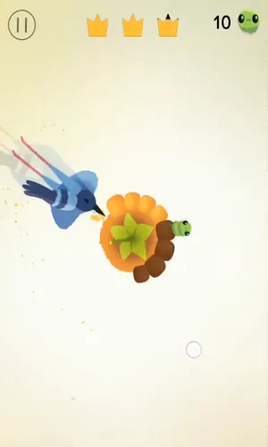 ���ĸ���pigeonpop