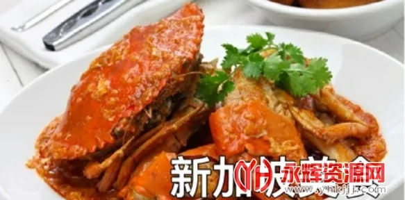 �¼�����2026���°汾