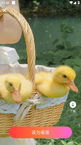 星汇壁纸 星汇壁纸