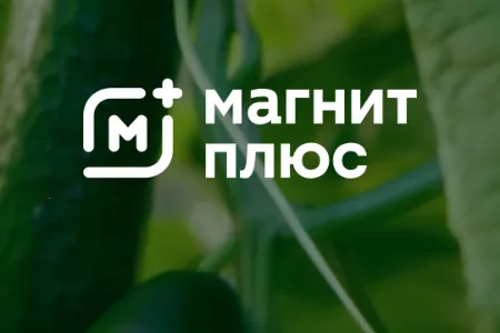 Magnit�̳�2026�ٷ�����