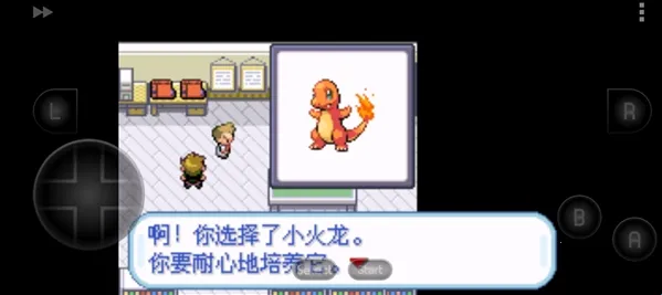 �ڴ�������Ҷ